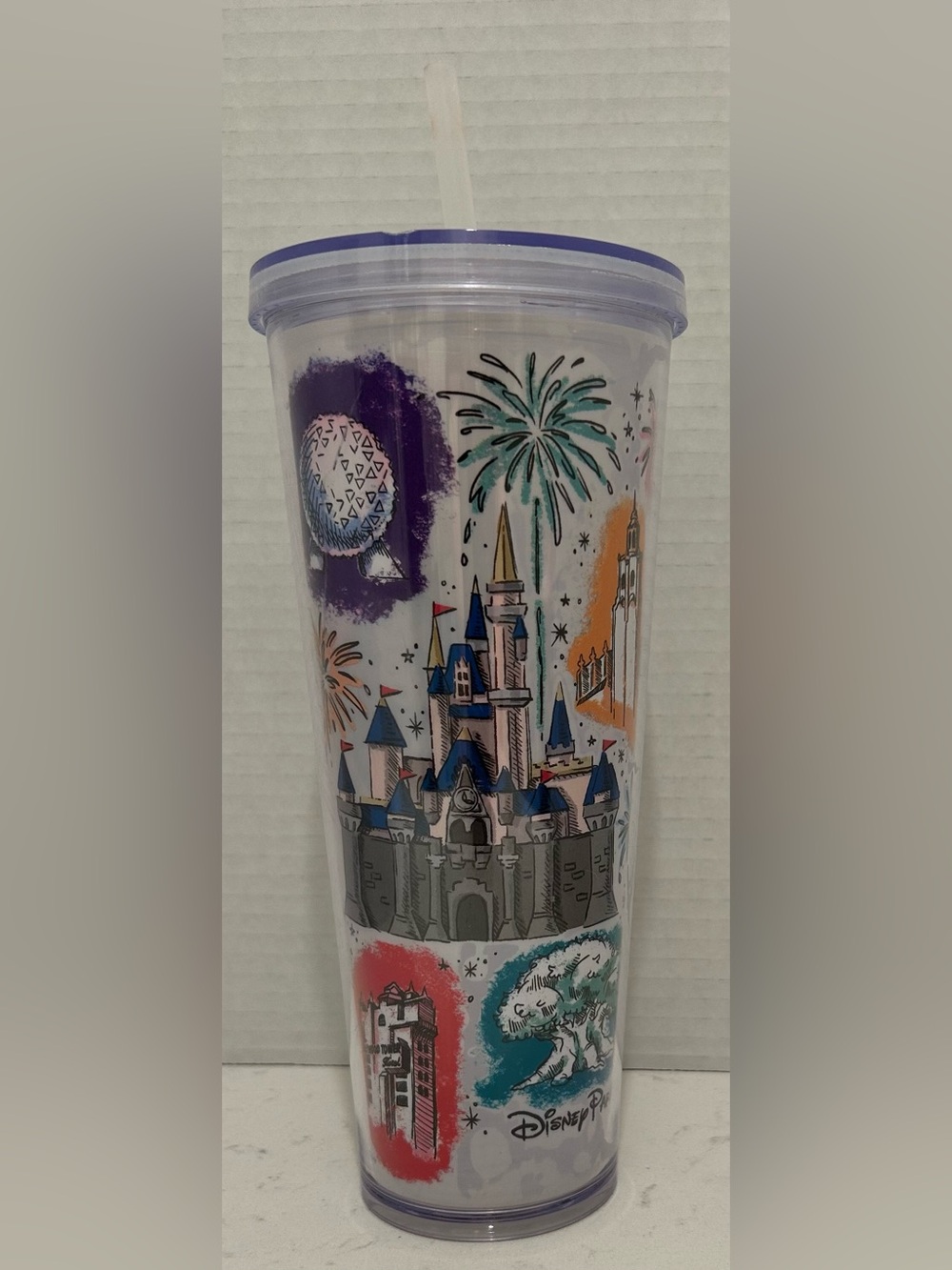 Starbucks Disney Parks All Parks Icon Cold Cup Tumbler 24oz 2019